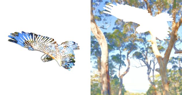 Ode to the Eucalypt No 9