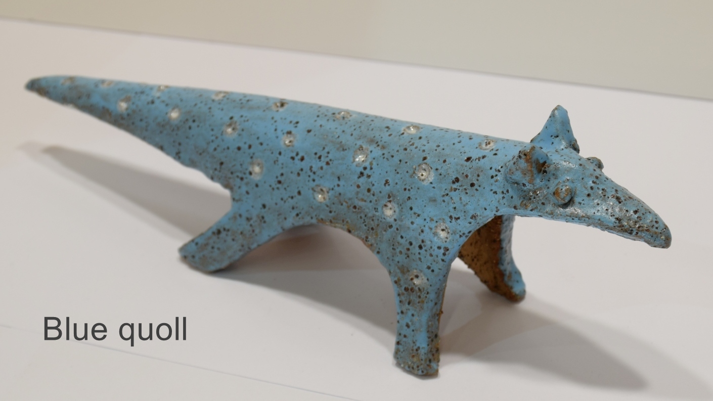 Spotted quoll - Image 7