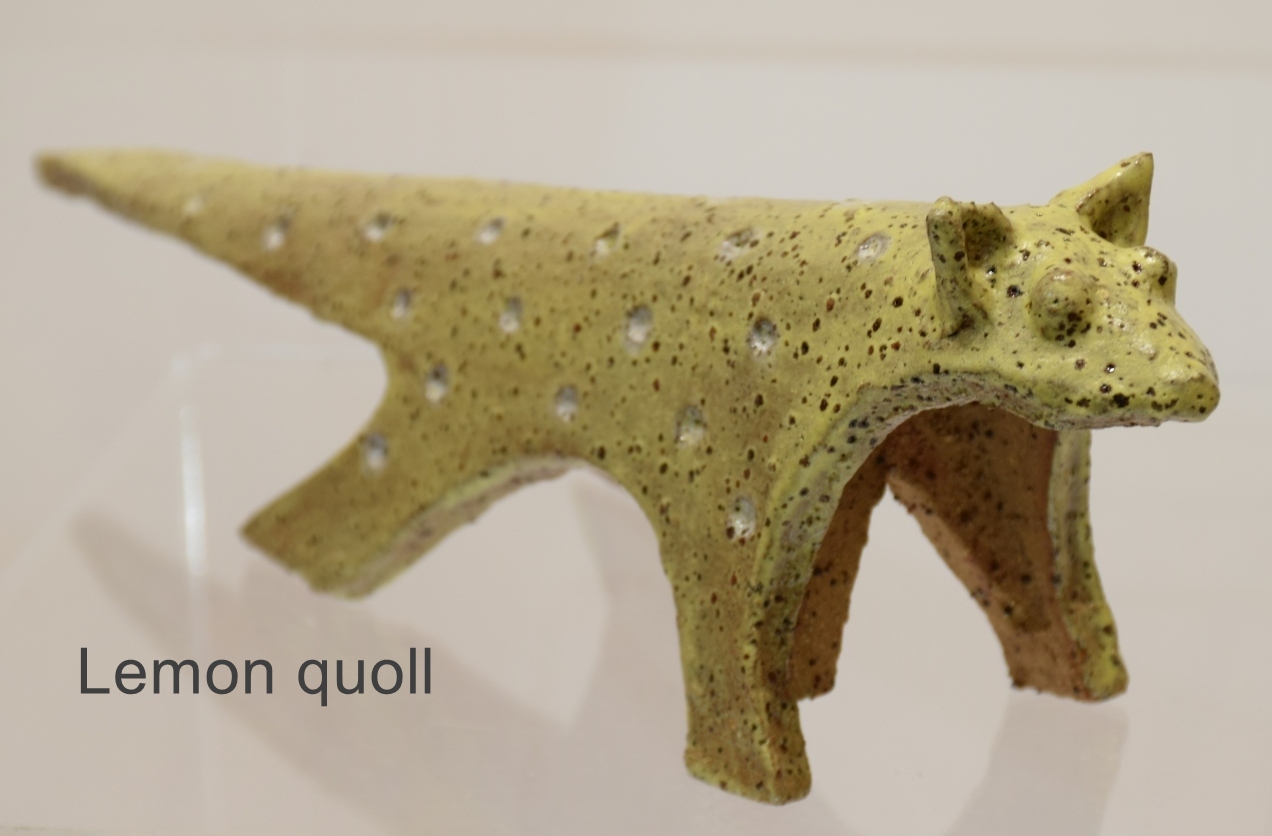 Spotted quoll - Image 6