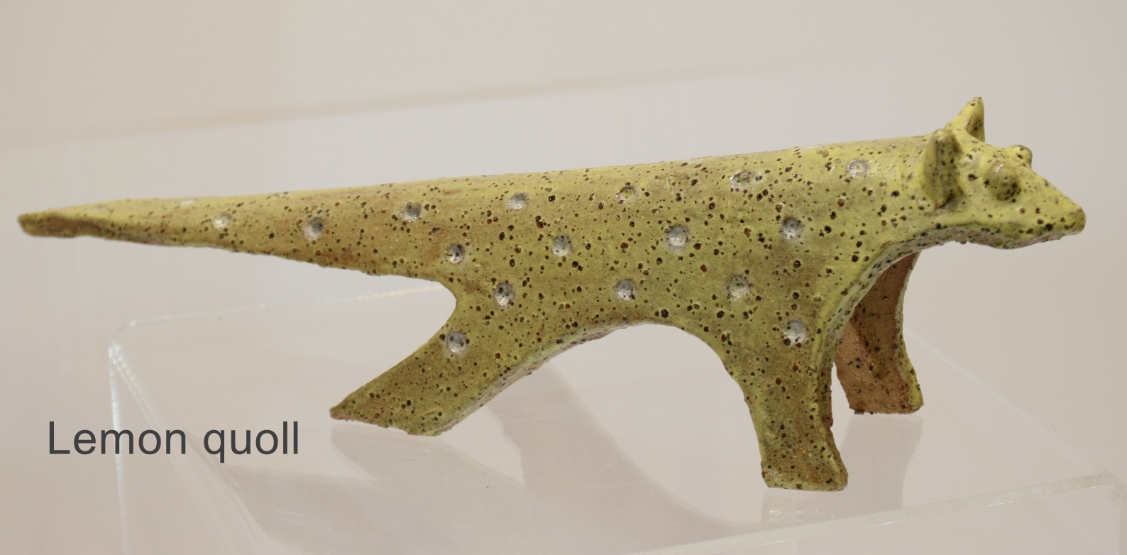 Spotted quoll - Image 5