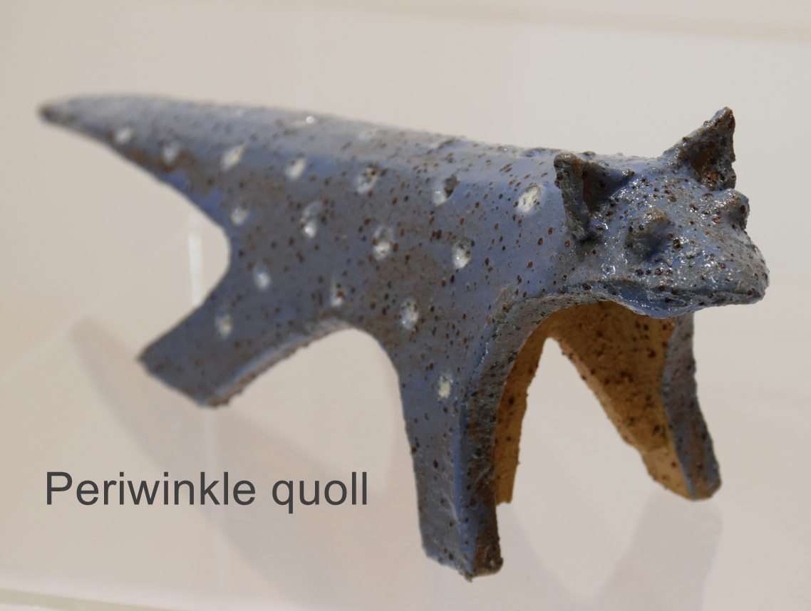 Spotted quoll - Image 4