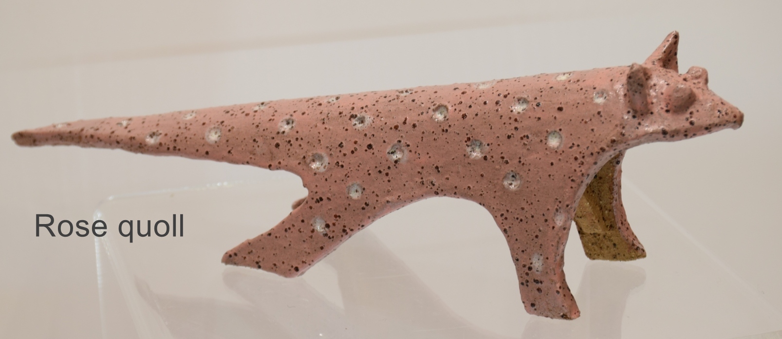 Spotted quoll - Image 3