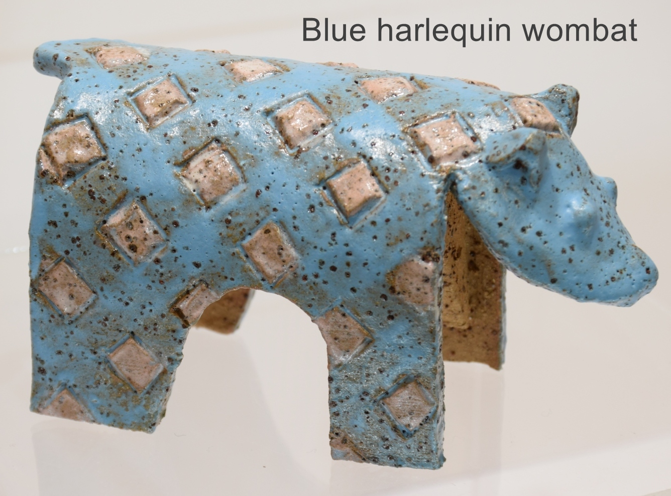 Harlequin Wombat - Image 7