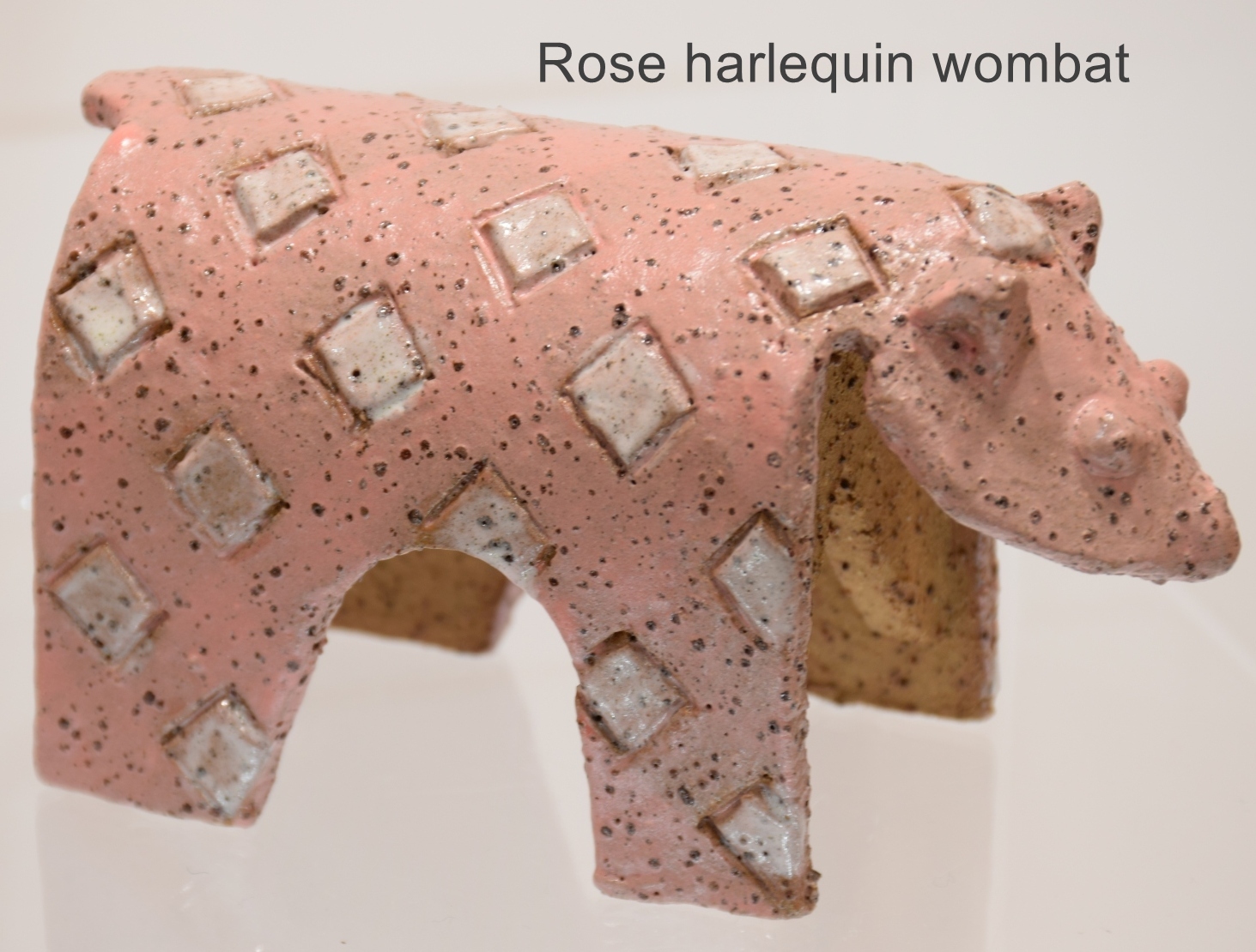 Harlequin Wombat - Image 4